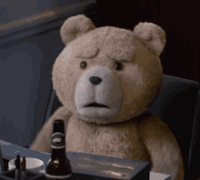 Get It Right GIF - Ted Teddy Bear There Are No Chicks With Dicks GIFs