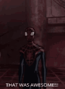 a spider man standing in a dark room and saying that was awesome !