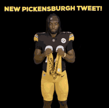 Pickensburgh Steelers GIF - Pickensburgh Steelers Najee GIFs