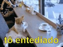 Entediada Gato Semfazernada GIF - Bored Cat Not Doing Anything GIFs