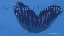 Ondina Speed Swimming Underwater GIF - Ondina Speed Swimming Underwater Swim GIFs