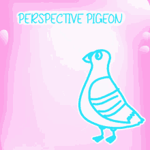 perspective pigeon veefriends perceptive insightful discerning