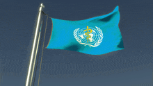 a blue flag with a gold caduceus on it