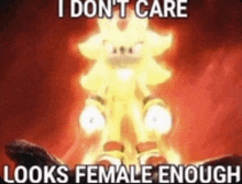 a sonic the hedgehog meme that says `` i don 't care looks female enough '' .
