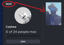 a screenshot of a person 's profile with the name cashew on it