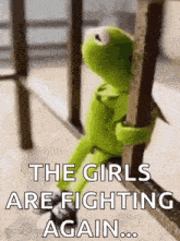 kermit the frog is sitting on a railing holding a pole and says `` the girls are fighting again ... ''