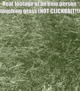 Emo Touch Grass GIF - Emo Touch Grass Emo Person Touching Grass GIFs