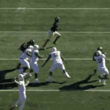 Wake Football Wake Forest GIF - Wake Football Wake Forest Catch GIFs