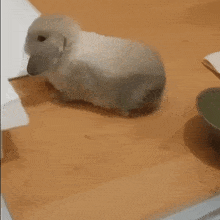 a rabbit is laying on its back on a wooden table