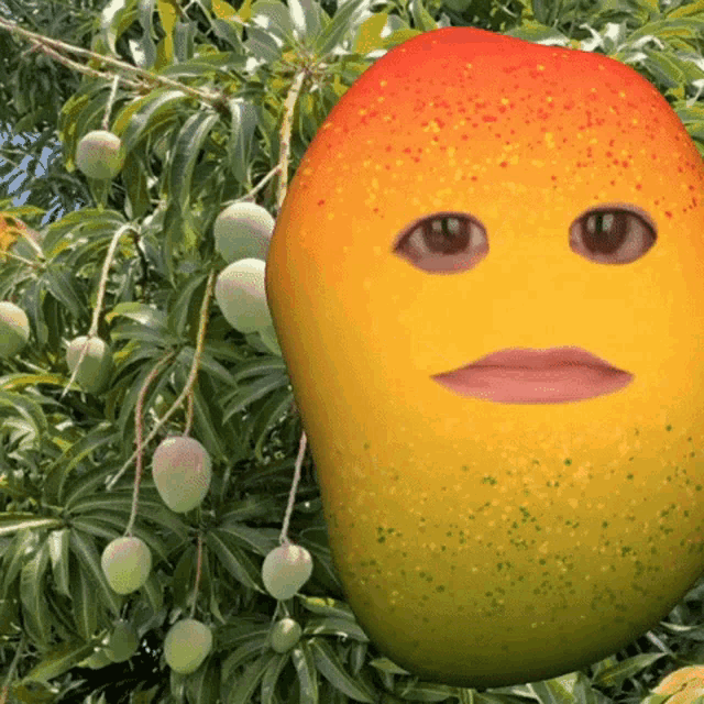 Mango GIFs | Tenor