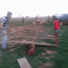 Balanced And Unbalanced Forces Fly GIF - Balanced And Unbalanced Forces Fly Seesaw GIFs