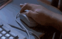 GIF