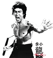 Bruce Lee Karate Sticker - Bruce Lee Karate Moving Hands Stickers