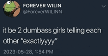 a tweet by forever wilin says it be 2 dumbass girls telling each other exactlyyy