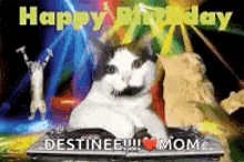 Happybirthday Cat GIF - Happybirthday Cat GIFs