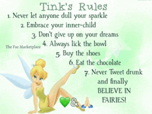 tinkerbell 's rules written on a green background
