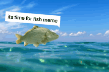 Fish Meme GIF - Fish Meme Kkoaf_f GIFs