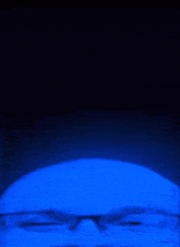 a man with glasses is smiling in a dark blue light