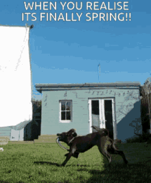 When You Realise Its Finally Spring When GIF - When You Realise Its Finally Spring When You GIFs