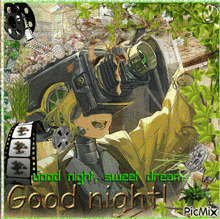 a picture of a camera with the words good night sweet dream on it