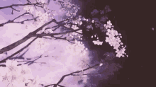Sakura Trees GIF - Sakura Trees Tree GIFs