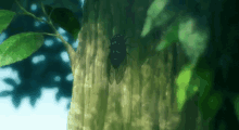Cicada Bug GIF - Cicada Bug Nature GIFs