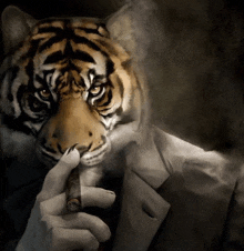 a tiger smoking a cigar in a suit