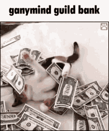 GIF