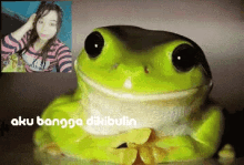 jokowi frog