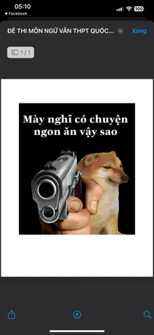 a phone screen shows a picture of a dog pointing a gun at it