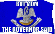 Louisiana Governor GIF - Louisiana Governor Flag GIFs