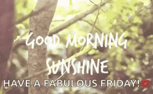 Good Morning Sunshine Have A Fabulous Friday GIF - Good Morning Sunshine Have A Fabulous Friday GIFs