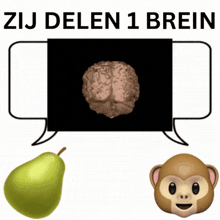 a picture of a brain a pear and a monkey with the words zij delen 1 brein below it