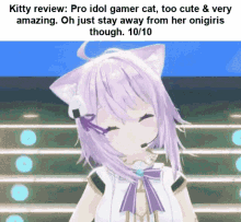 Kitty Review Cat Review GIF - Kitty Review Cat Review Okayu GIFs