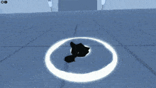 a screenshot of a video game shows a circle around a black object