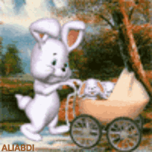 خرگوش GIF - خرگوش GIFs
