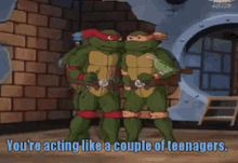 Tmnt Leonardo GIF - Tmnt Leonardo Youre Acting Like A Couple Of Teenagers GIFs