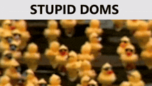 Stupiddoms Stupid Doms GIF - Stupiddoms Stupid Doms GIFs