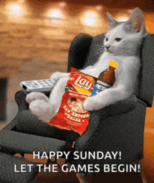 happy sunday lazy cat lays pepsi let the game begin