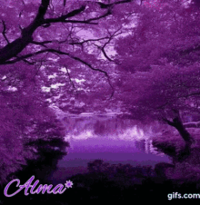morado paisajes purple nature
