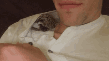 Hedgehog Cuddles GIF - Hedgehog Cuddles GIFs