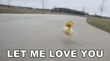 a picture of a duck on a road with the words let me love you