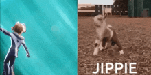 a boy in a superhero costume is standing next to a baby goat in a field .