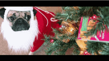 Pug Merry Christmas GIF - Pug Merry Christmas Beard GIFs