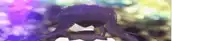 a close up of a person 's head with purple hair and a bow tie .