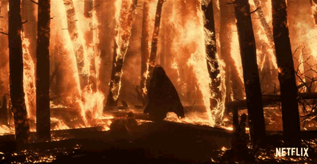 Forest On Fire GIFs | Tenor