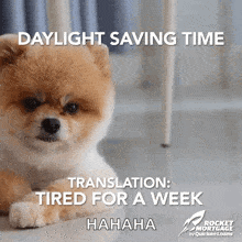 Daylight Savings Time Change GIF - Daylight Savings Time Change Sleepy GIFs