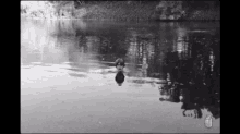 The Kid Laroi Lake GIF