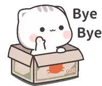 a cat is sitting in a box with the words bye bye written on it