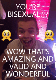 a harry styles meme that says you 're bisexual wow that 's amazing valid and wonderful